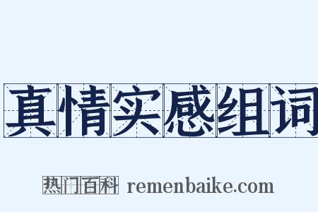 真情实感组词是什么意思的图片